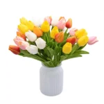 Tulip Flower